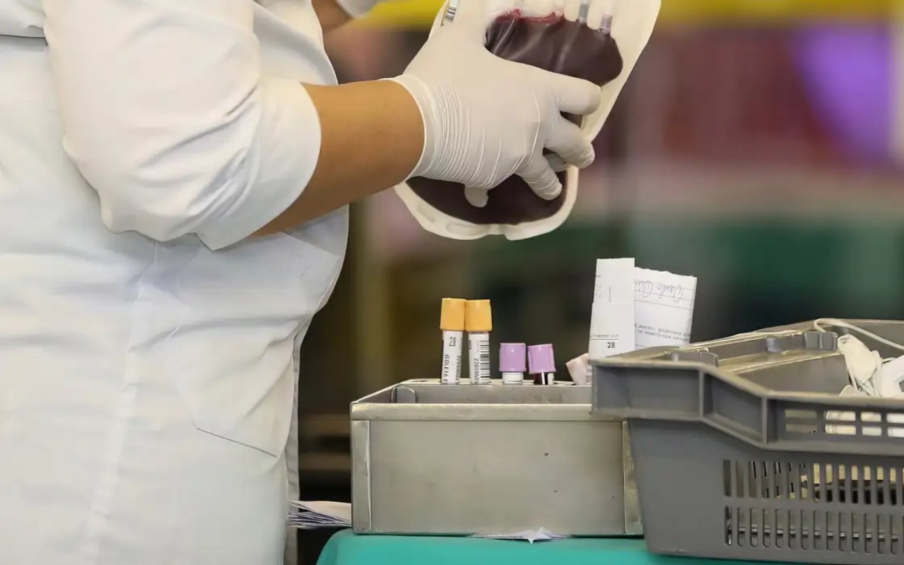 direito_stf_transfusão_sangue