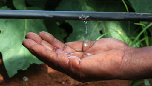 Irrigação de precisão conquista cada vez mais espaço nas lavouras do Espírito Santo
