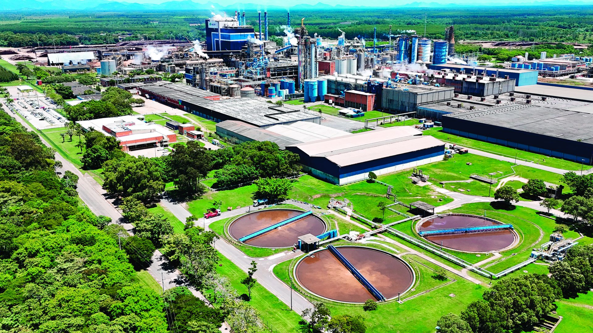 Suzano deve aumentar a presença no ES com a construção de sua segunda fábrica de papel tissue. Foto: Suzano