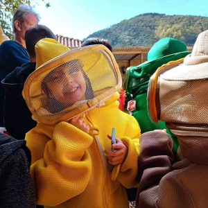 Descubra o verão das Montanhas Capixabas: aventuras, sabores e conexão com a natureza