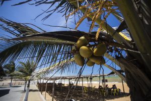 Praia da Barra encanta visitantes no Norte do ES