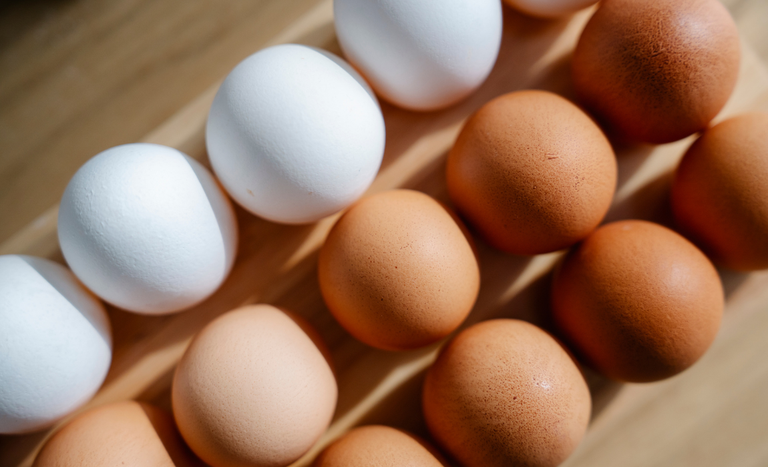 O grande destaque foi a produção de ovos com aumento de 12,3%. Foto: Divulgação