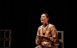 Circuito Cultural Unimed Vitória traz grandes nomes do teatro