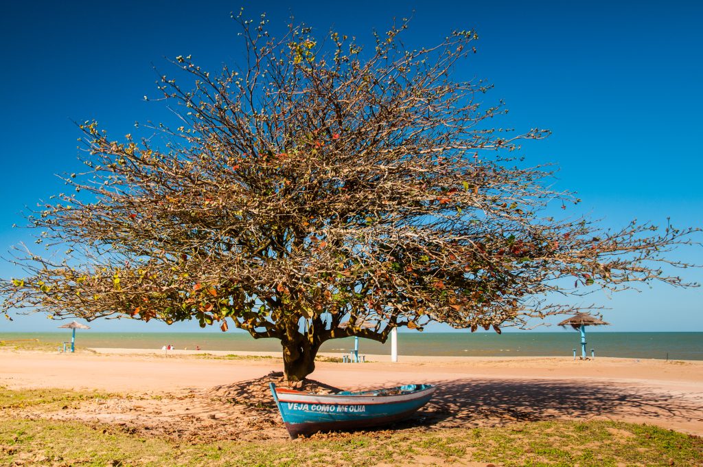 Descubra as belezas da Praia de Marobá, em Presidente Kennedy