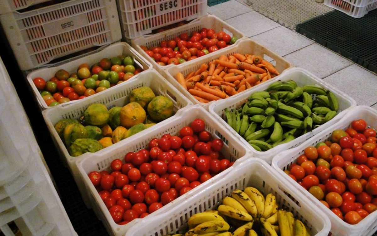 ES é destaque em segurança alimentar, segundo IJSN. Foto: Ceasa/Governo do Estado