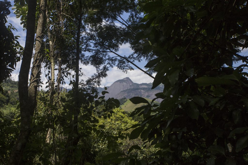 Vista de dentro da Gruta do Limoeiro Visitantes são atraídos pela curiosidade e pelo contato com a natureza. Foto: Vitor Jubini/MTur