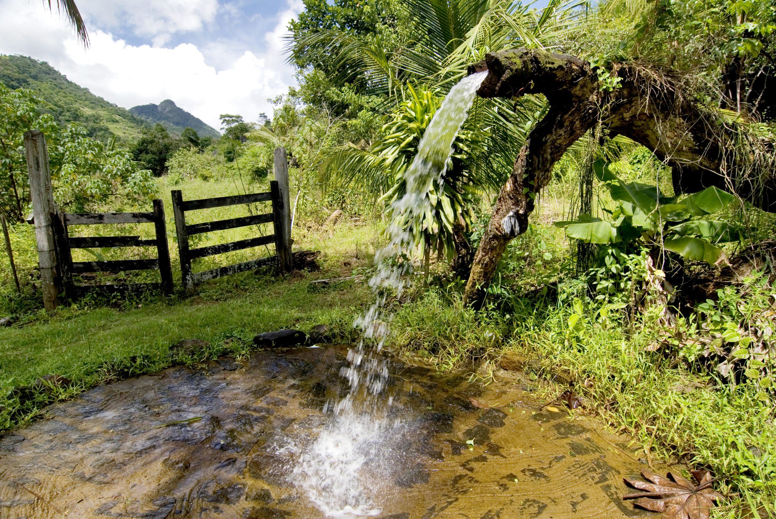 Circuito Muribeca é uma das opções de agroturismo na Serra. Foto: Tadeu Bianconi