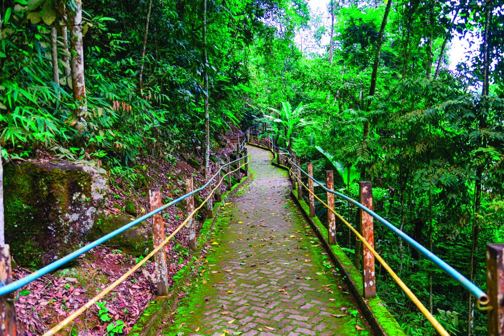 Cachoeira de Matilde encanta com sua beleza e imponência