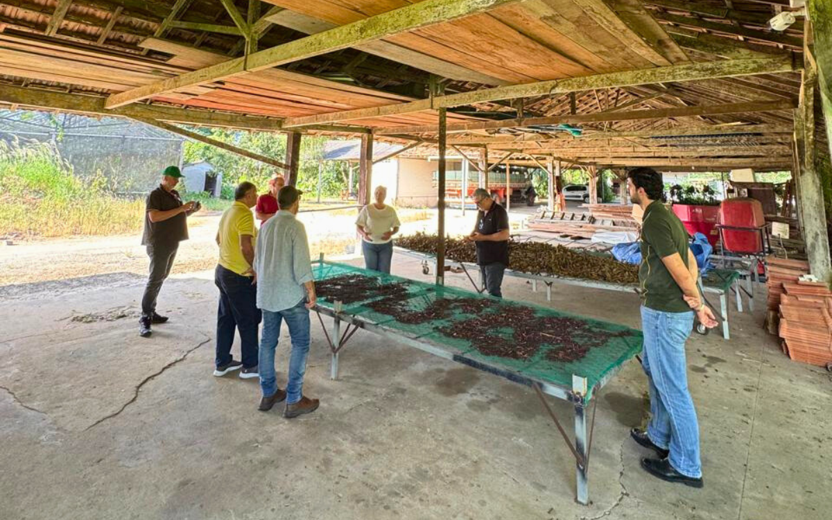 Visita a uma cooperativa capixaba para projeto de turismo cooperativo. Foto: OCB-ES