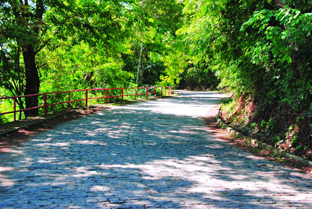 Parque Estadual da Fonte Grande oferece contato com a natureza em meio à cidade