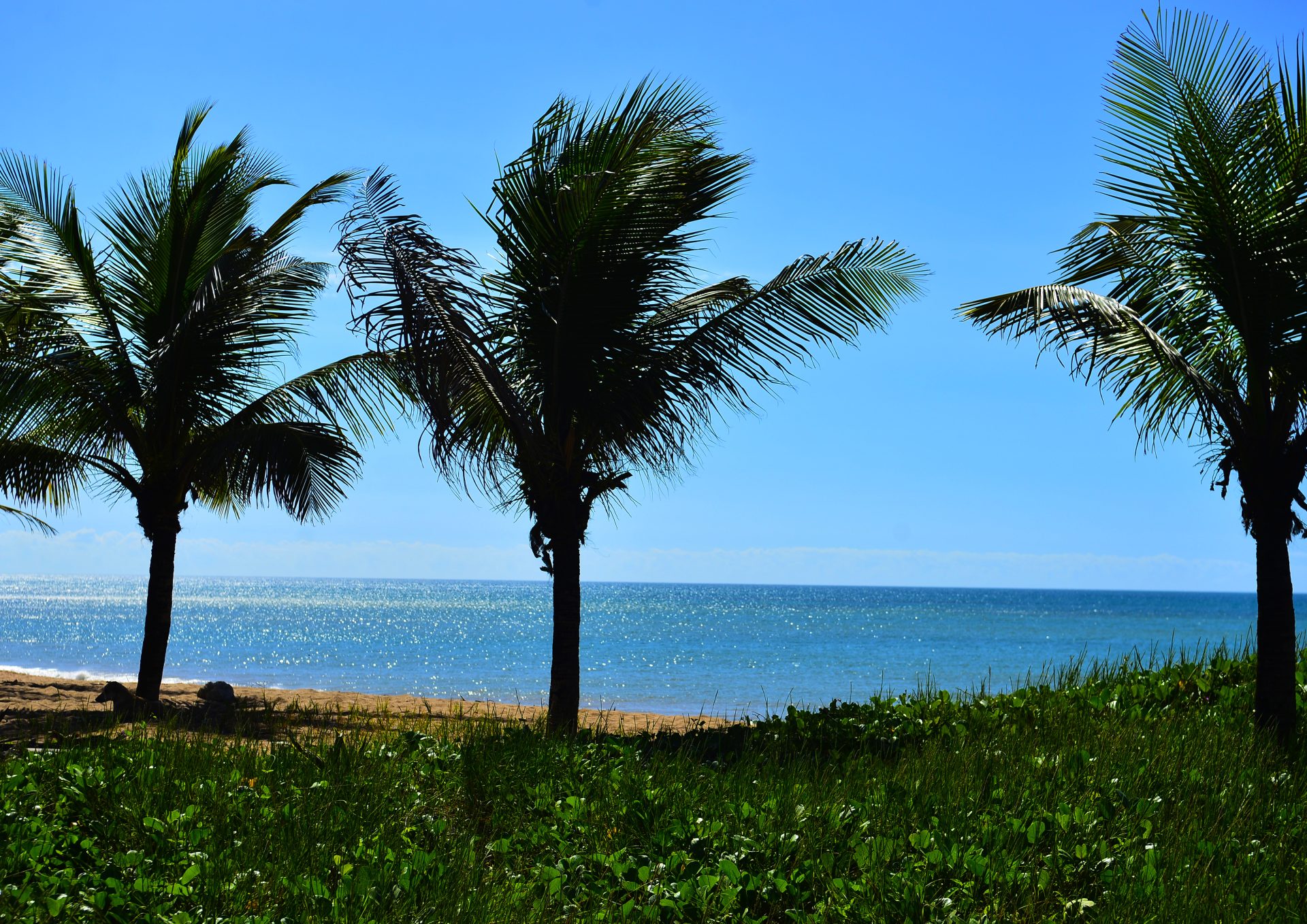 Praia de Carapebus: tranquilidade e natureza preservada a poucos ...