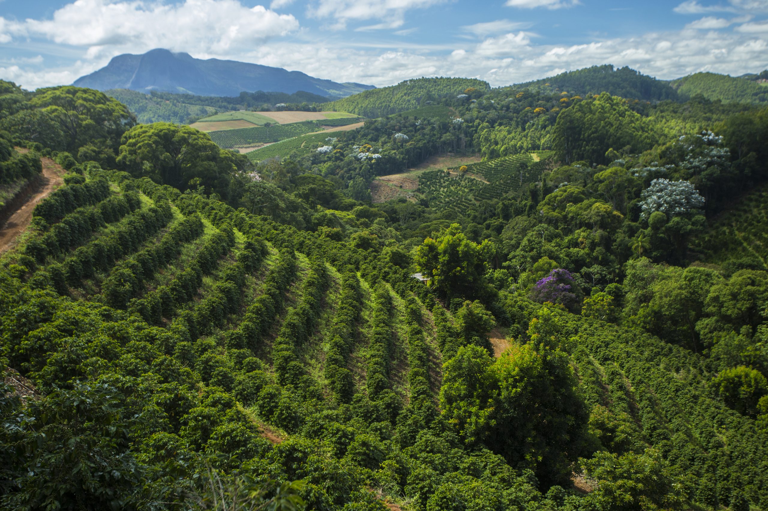 Venda Nova do Imigrante é considerada a Capital Nacional do Agroturismo, com cerca de 70 propriedades rurais e 300 famílias dedicadas a esse tipo de negócio. Foto: Vitor Jubini