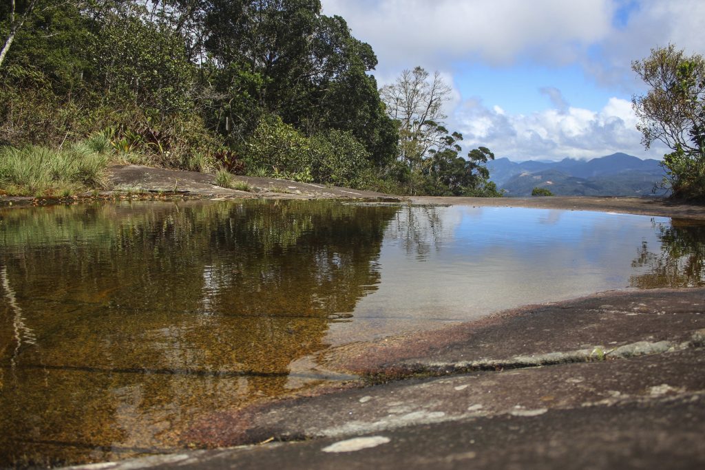 Rota do Lagarto: um passeio entre montanhas, charme e natureza