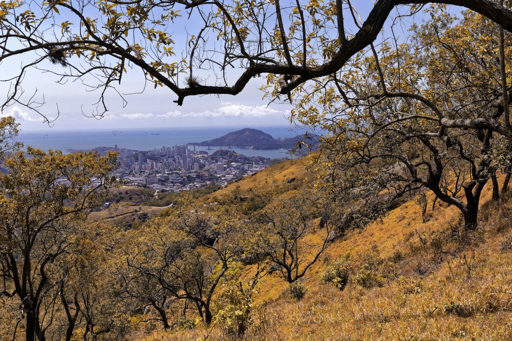 Parque Estadual da Fonte Grande oferece contato com a natureza em meio à cidade