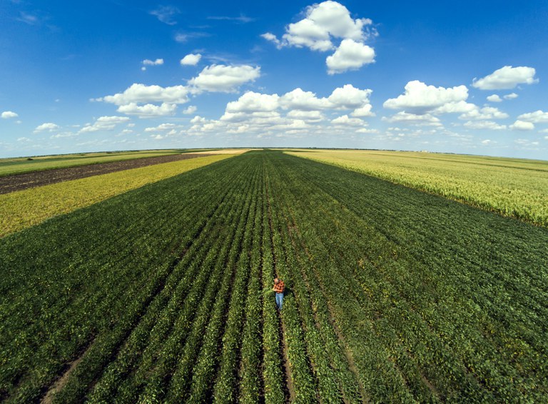 Espírito Santo bate recorde e lidera aumento na aplicação de crédito rural