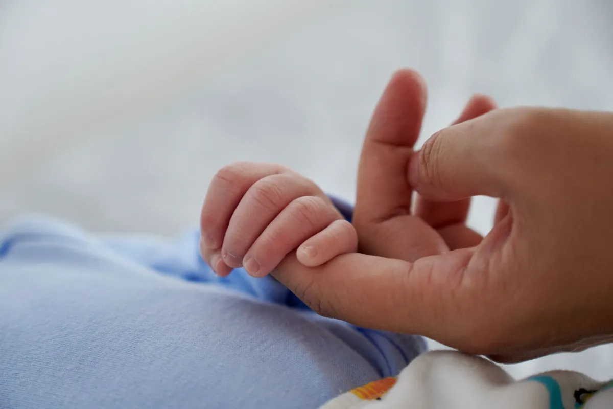 Luto Parental: descubra as mudanças com nova lei Foto: David Espejo/GettyImages