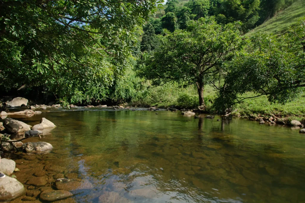 Cachoeira do Meio: contato com a natureza e banhos refrescantes em Iconha