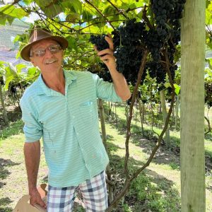 Descubra a Vinícola Ziviani em Santa Teresa