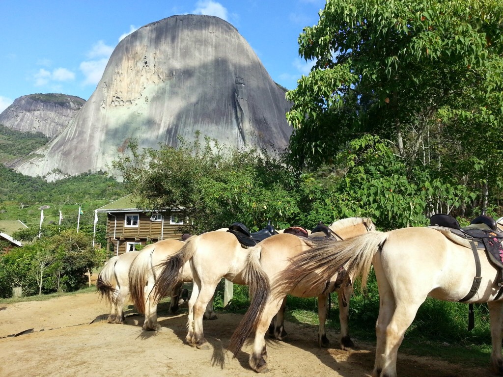 Caminho das Flores encanta visitantes em Pedra Azul