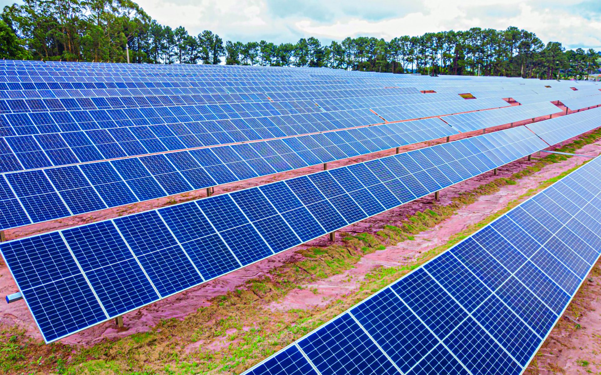 Placa Solar, Energia, Espírito Santo, Fonte Renovável, Limpa Foto: Divulgação