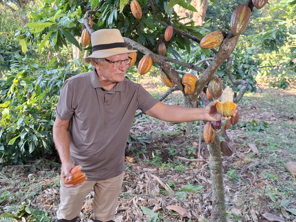 Adão Cellia mostra a produção de cacau cabruca na beira do Rio Doce, em Linhares. Foto: Erik Oakes