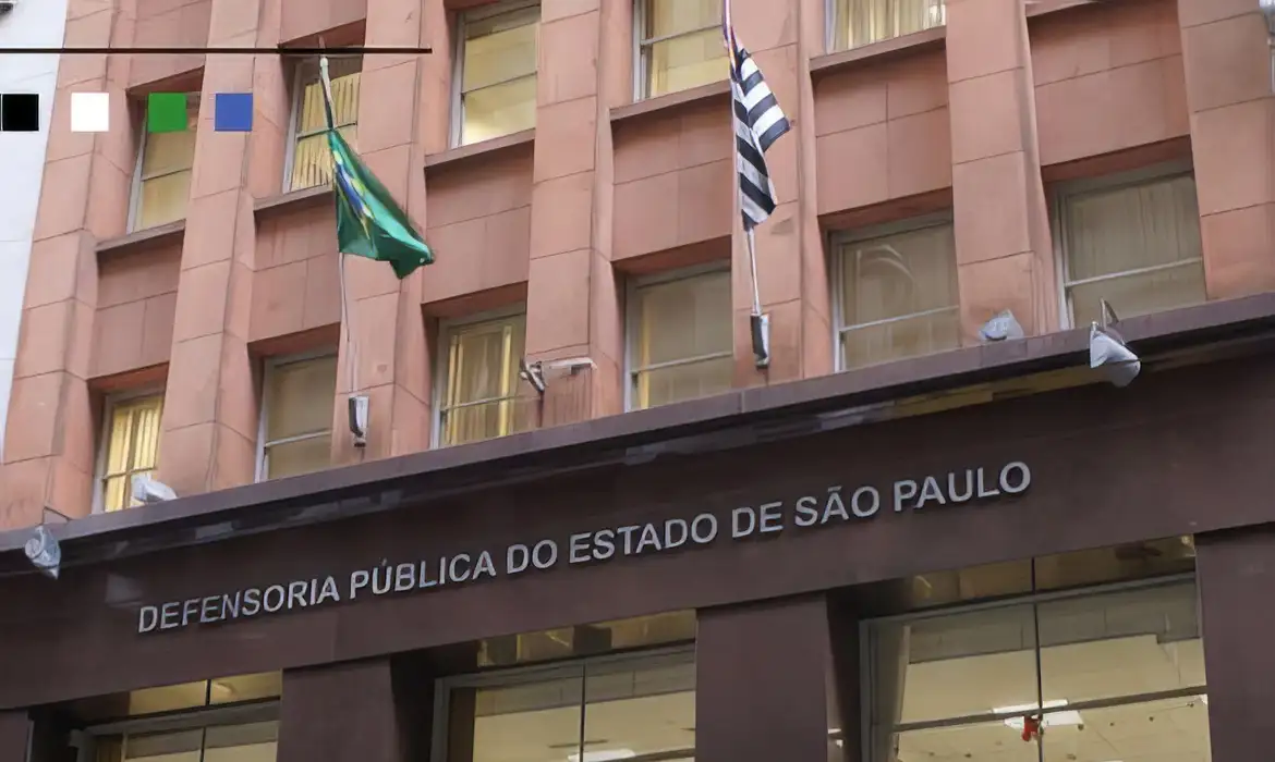 O texto do PL reduziria significativamente a independência dos defensores públicos no exercício da função Foto: Instagram/DPESP