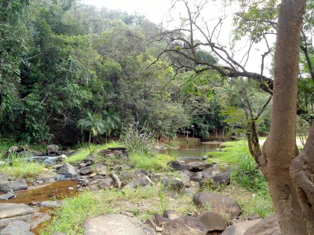 Trilha Imperial de Conceição do Castelo reúne história e natureza