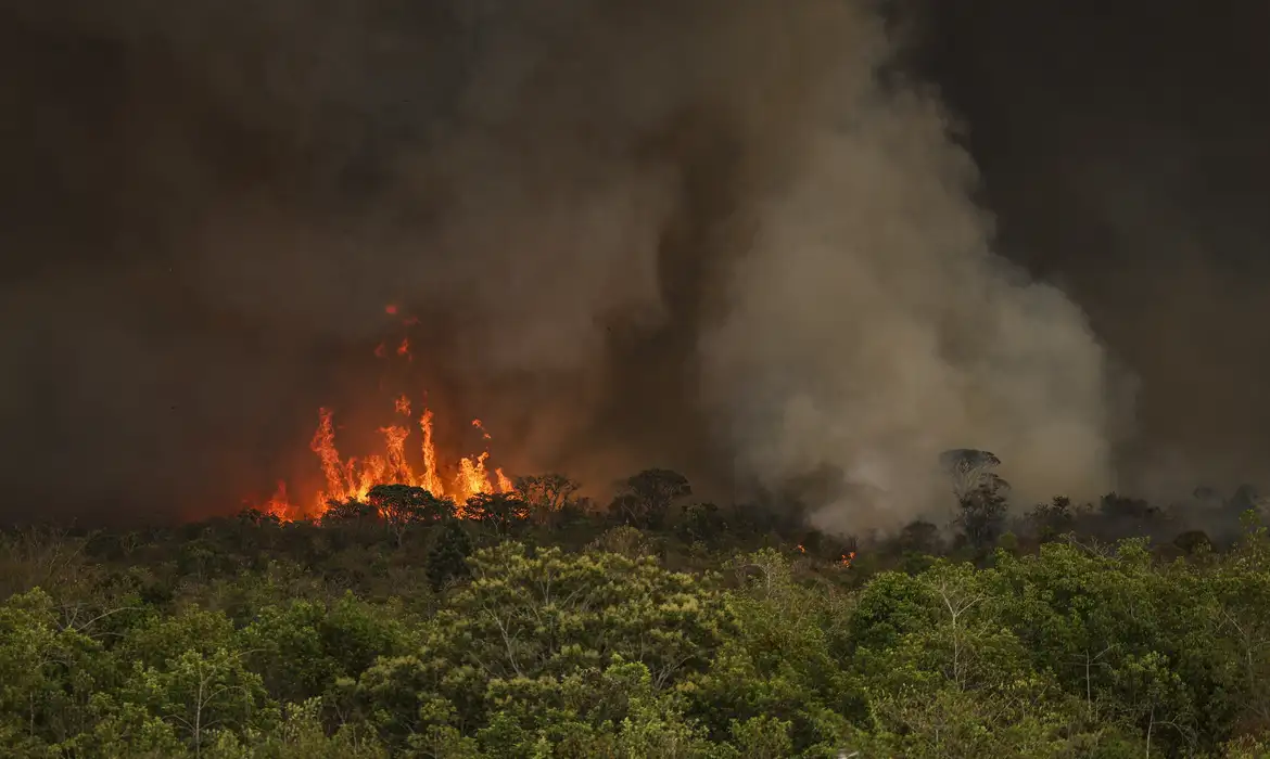 incêndios florestais Foto: Marcelo Camargo/Agência Brasil