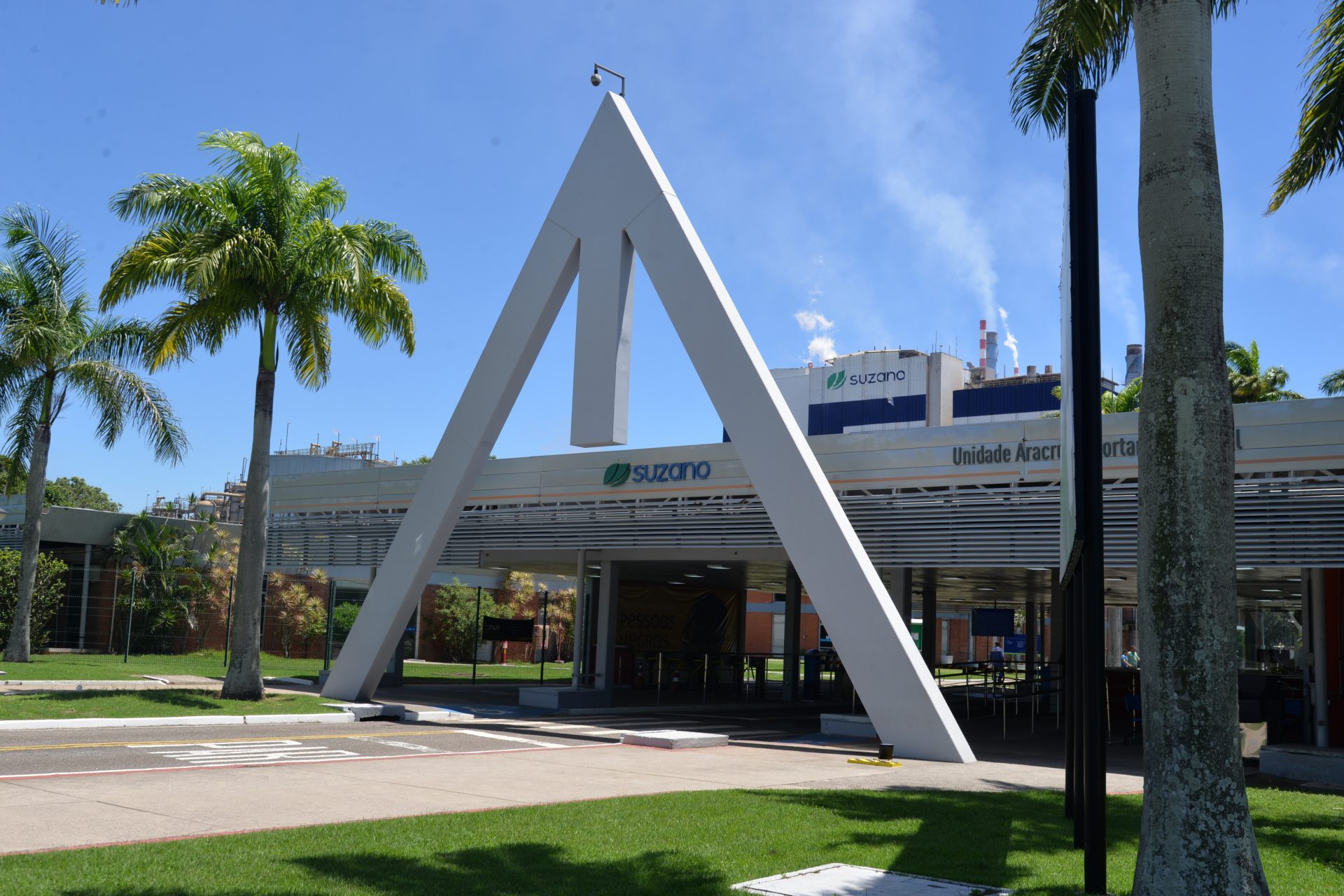 A Suzano, localizada em Aracruz, irá deter 51% de participação na nova empresa no mercado Tissue. Foto: Fabricio Lima/Next Editorial