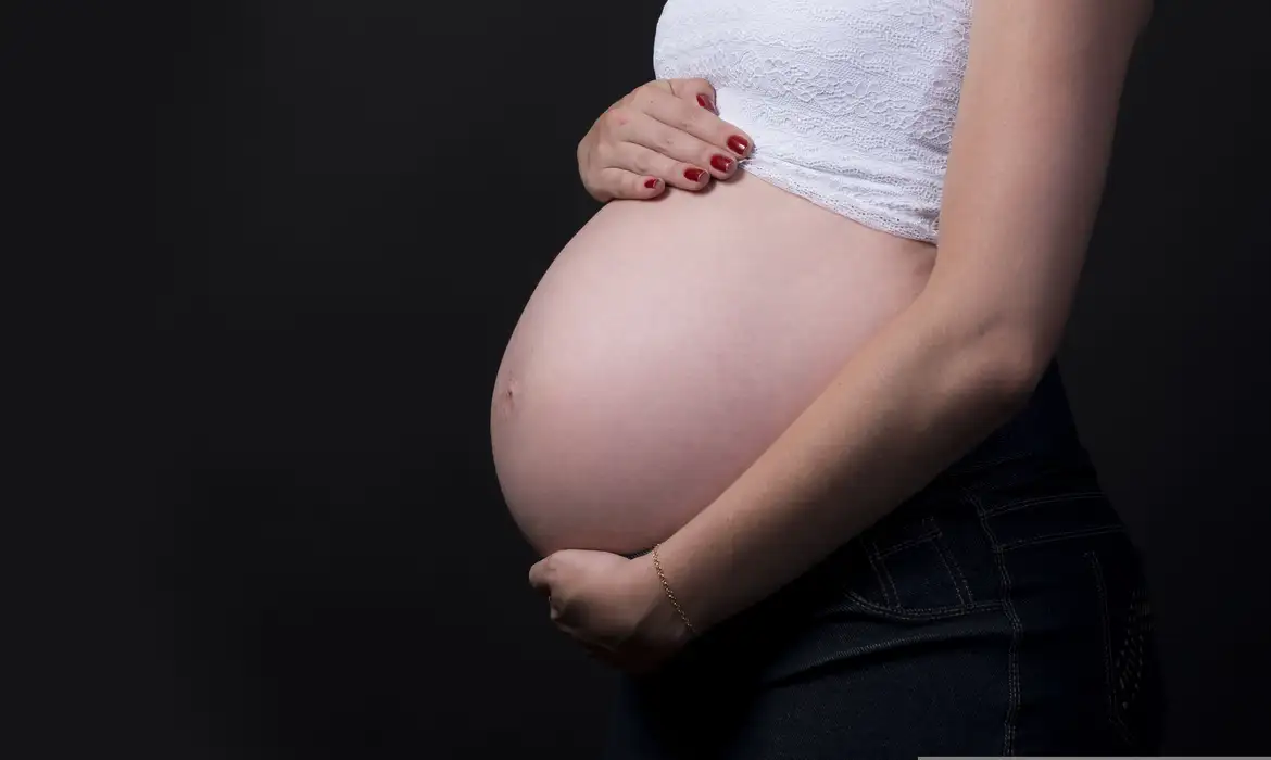 Brasileiras estão tendo menos filhos e adiam maternidade, diz Censo Foto: Fotorech/Pixabay