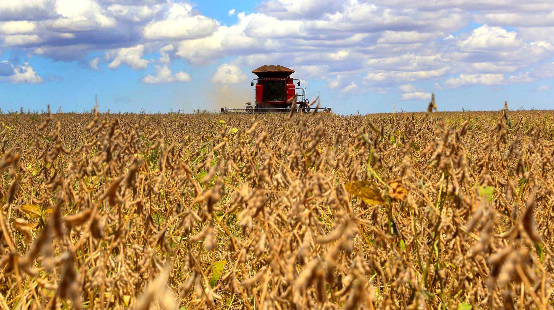 A Confederação da Agricultura e Pecuária do Brasil (CNA) critica medida unilateral dos EUA e afirma que a relação comercial entre Brasil e EUA sempre foi baseada em cooperação e equilíbrio, o que é fundamental para o crescimento econômico de ambos os países. Fotos: Fotos Públicas