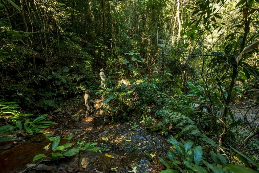Parque Estadual Mata das Flores: turismo de natureza em Castelo