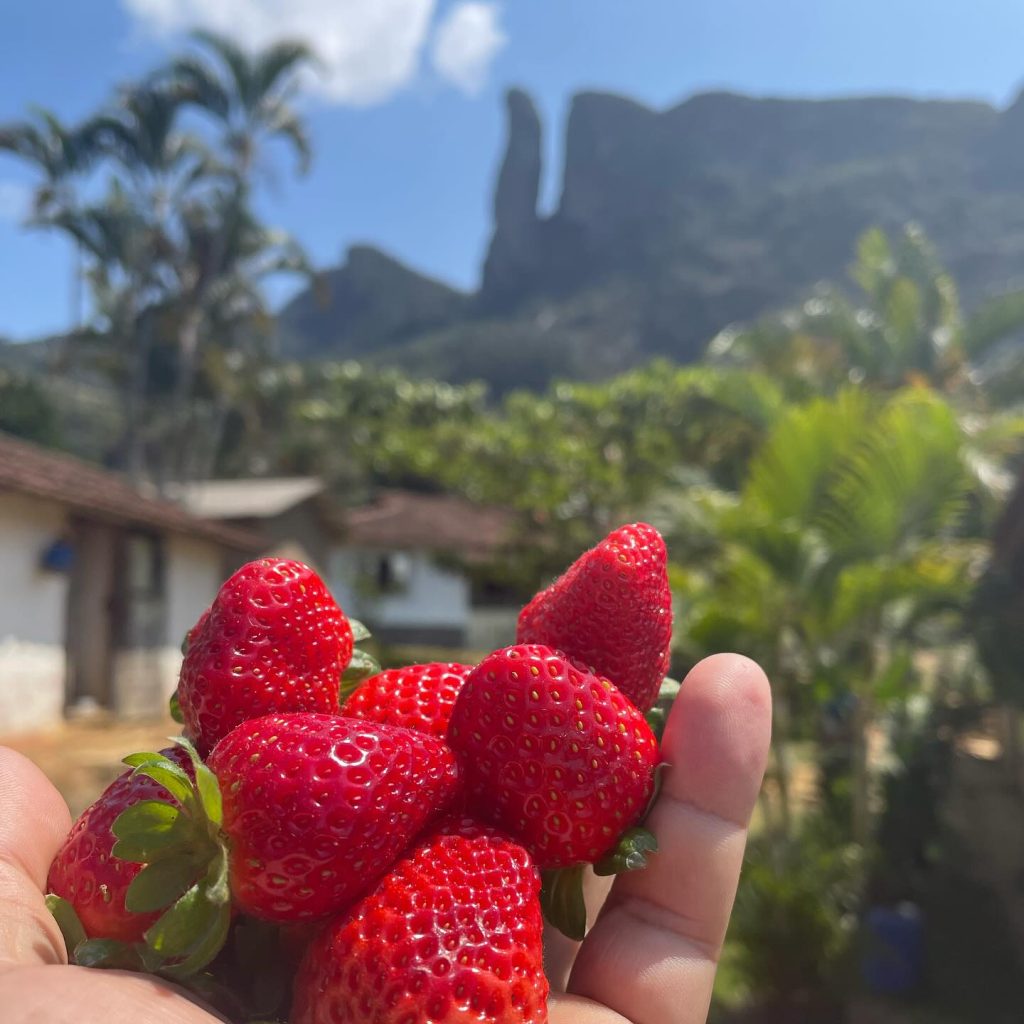 Região dos Vales e Café abrange cinco municípios no sul do estado