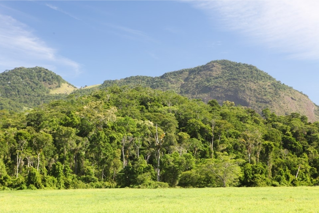 Parque Estadual Mata das Flores: turismo de natureza em Castelo
