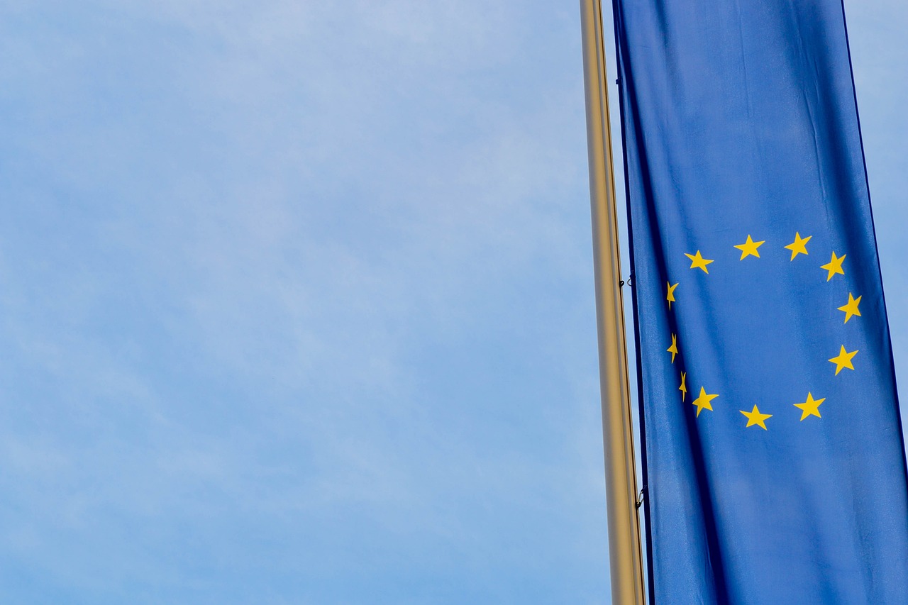 Países defendem mudanças na lei antidesmatamento da UE, considerando-a onerosa e desproporcional. Foto: Imagem de Deniz Anttila por Pixabay