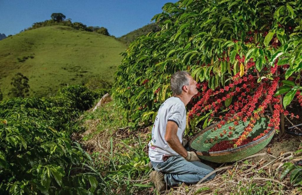 Região dos Vales e Café abrange cinco municípios no sul do estado