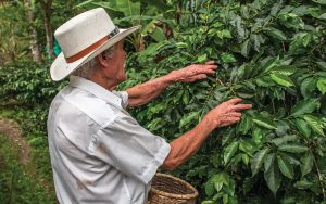 Agro capixaba bate recorde de exportações em 2024