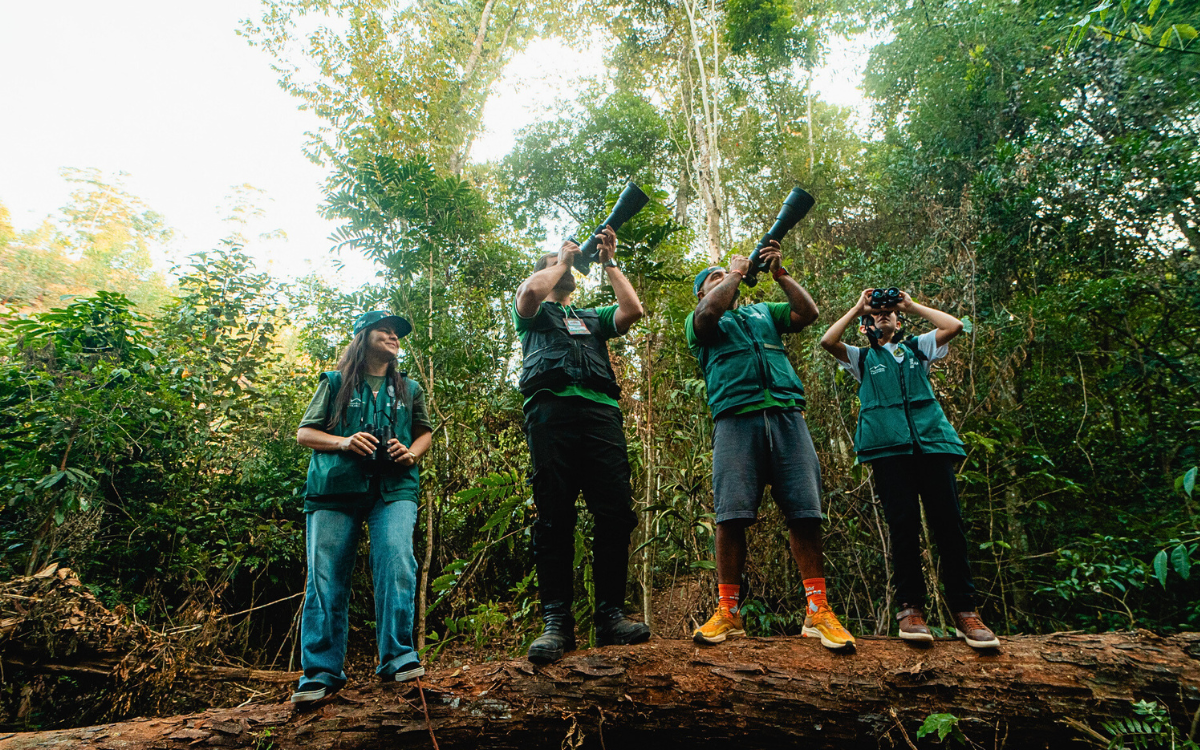 Observação de aves em Pindobas, Venda Nova do Imigrante. Foto: Sebrae ES