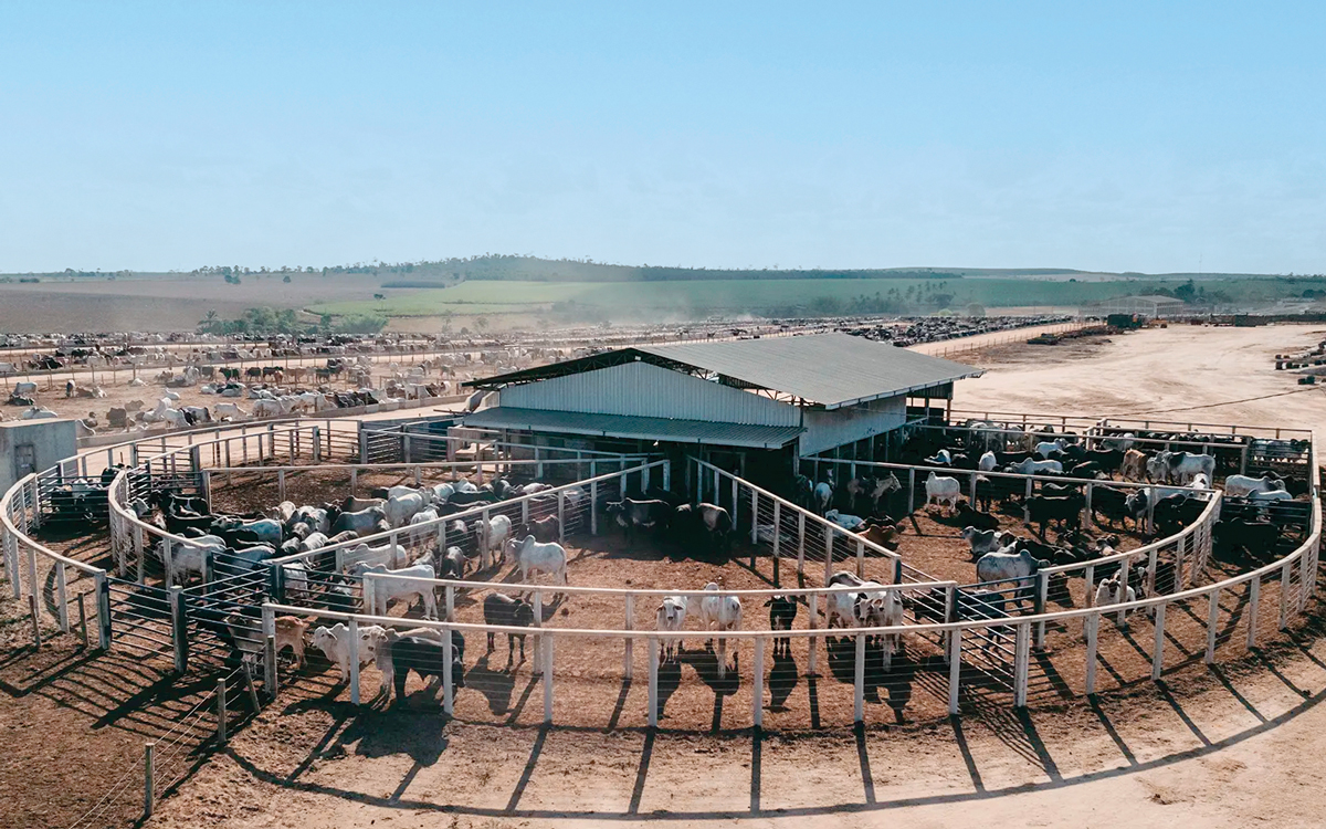 Capacitação no agronegócio impulsiona inovação no ES
