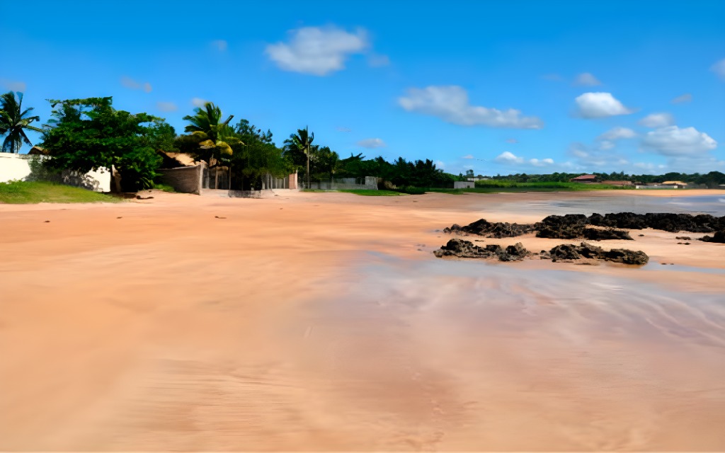 As águas escuras e a vegetação de restinga ao redor são características marcantes da Praia do Rio Preto. Foto: Praias 360
