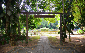 Reserva da Vale em Sooretama. Foto: Fabrício /ES Brasil