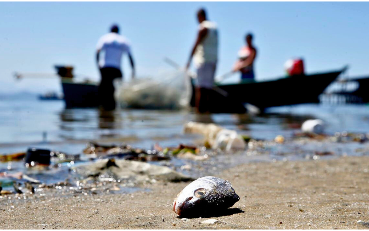Pescadores podem receber Pagamento por Serviços Ambientais (PSA) por preservação ambiental dos mares. Foto: Tânia Rêgo/Agência Brasil