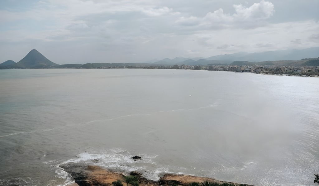 nome da ilha remete ao passado, quando o local abrigava uma grande quantidade de gambás, entre outras espécies da região. Foto: Gabriel Silvano