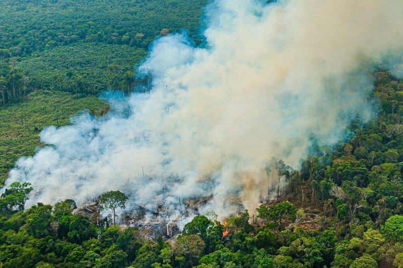 Pesquisadora da Fiocruz alerta: desmatamento na Amazônia intensifica ondas de calor, causando mortes preveníveis, especialmente em populações vulneráveis/ Foto : Cadu Gomes/VPR/ Fonte: FOTOS PÚBLICAS