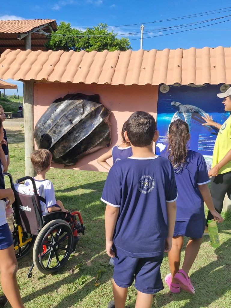 Projeto Tamar em Guriri: fauna marinha preservada