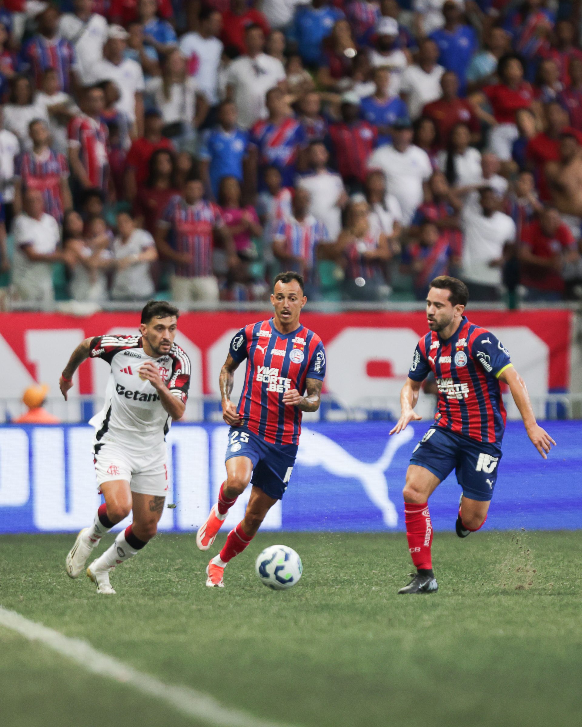 Flamengo perde para o Bahia por 1 a 0 na Arena Fonte Nova, com duas expulsões, e Palmeiras assume a liderança do Brasileirão - Fotos: Gilvan de Souza/Flamengo