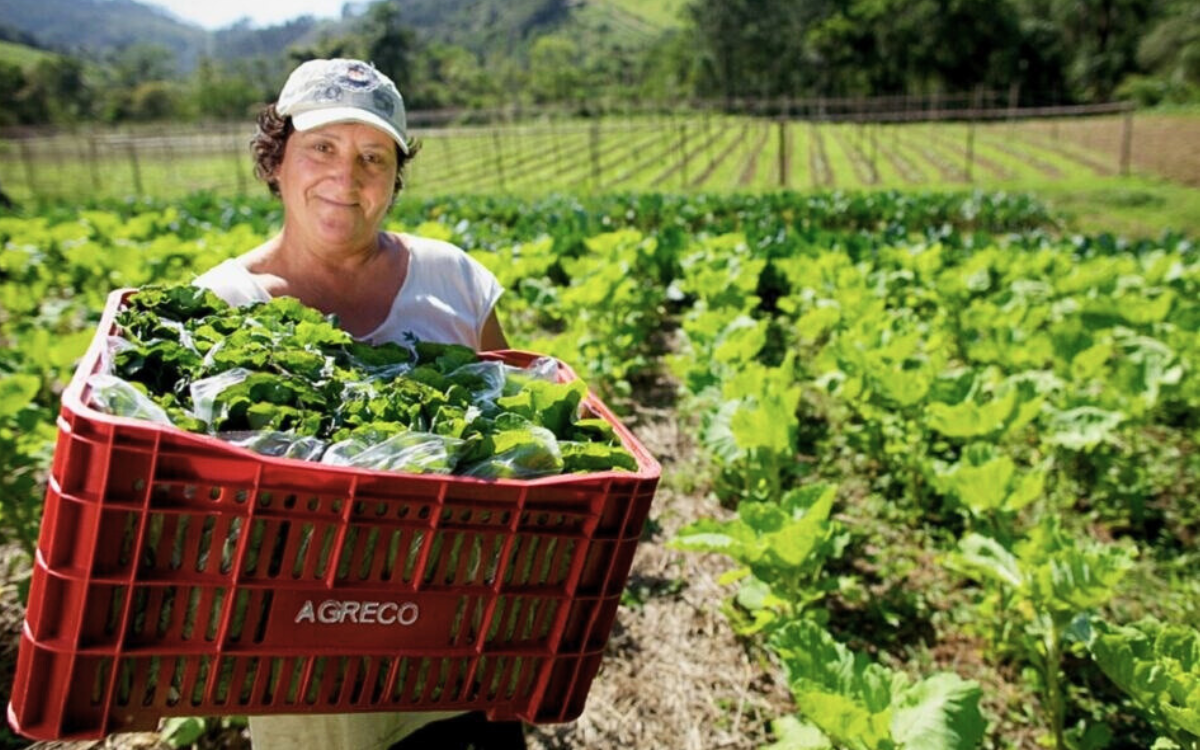 A mulher no campo é responsável por grande parte da produção do setor agroindustrial. Foto: Arquivo/MDA