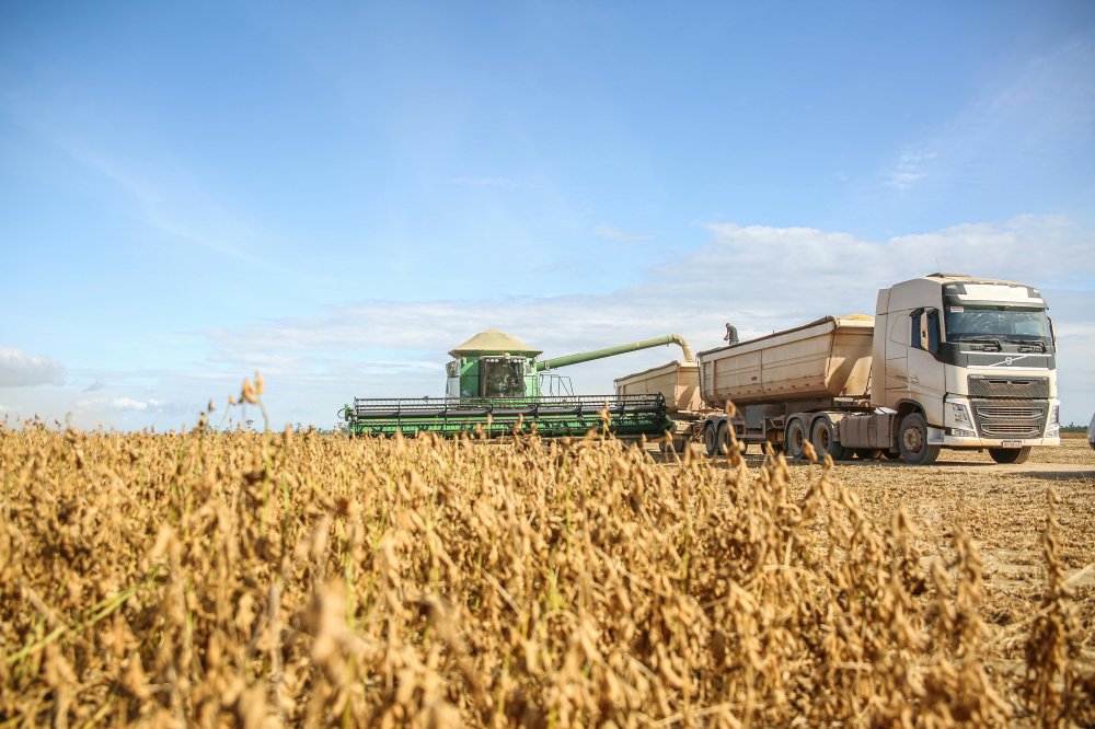 IBGE divulga projeção recorde para safra agrícola 2025: 341,9 milhões de toneladas, 16,8% acima de 2024. Destaque para soja e milho - Foto: MELQUIZEDEQUE ALMEIDA