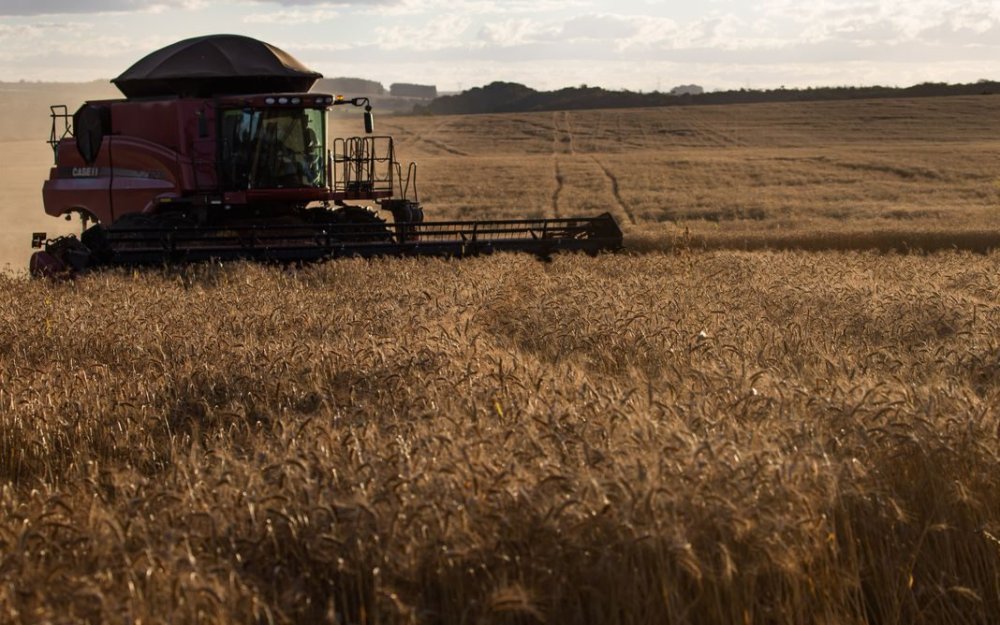 Governo Trump libera US$ 3 bilhões em ajuda a agricultores dos EUA via USDA, em resposta à guerra comercial com a China. Decisão ocorre em meio à paralisação - Foto: Reprodução