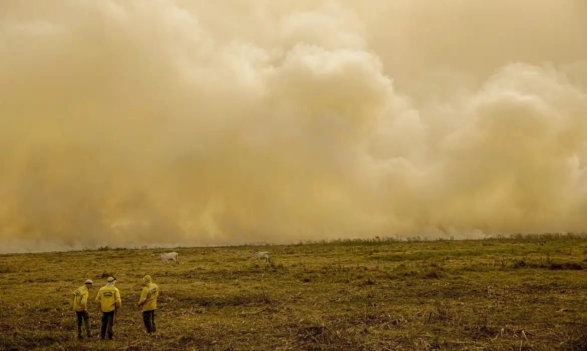 Relatório The Lancet/OMS revela 546 mil mortes anuais por calor e 154 mil por fumaça em 2024. Brasil e AL são destaques em riscos. Urge ação climática - Foto: Joédson Alves/Agência Brasil